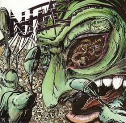 No Flag : Only the Truth No Flag : Only the Truth